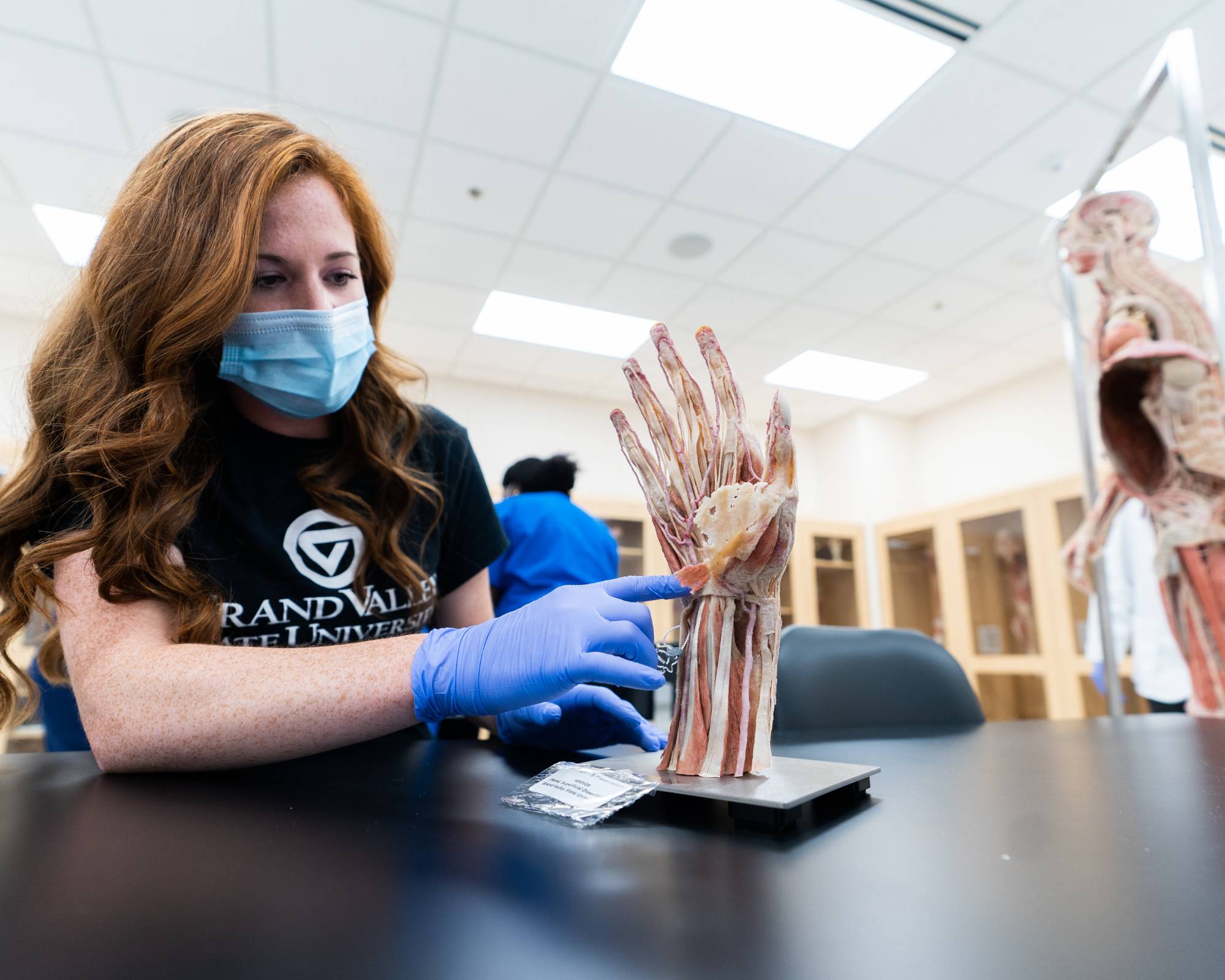 A medical student works with a model of a hand